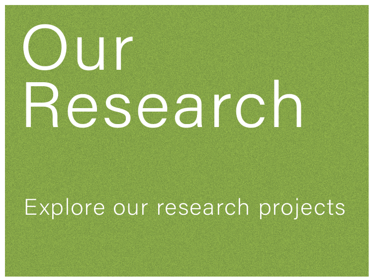 Our Research: Explore our research projects