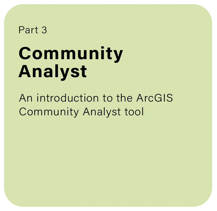 Community Analyst