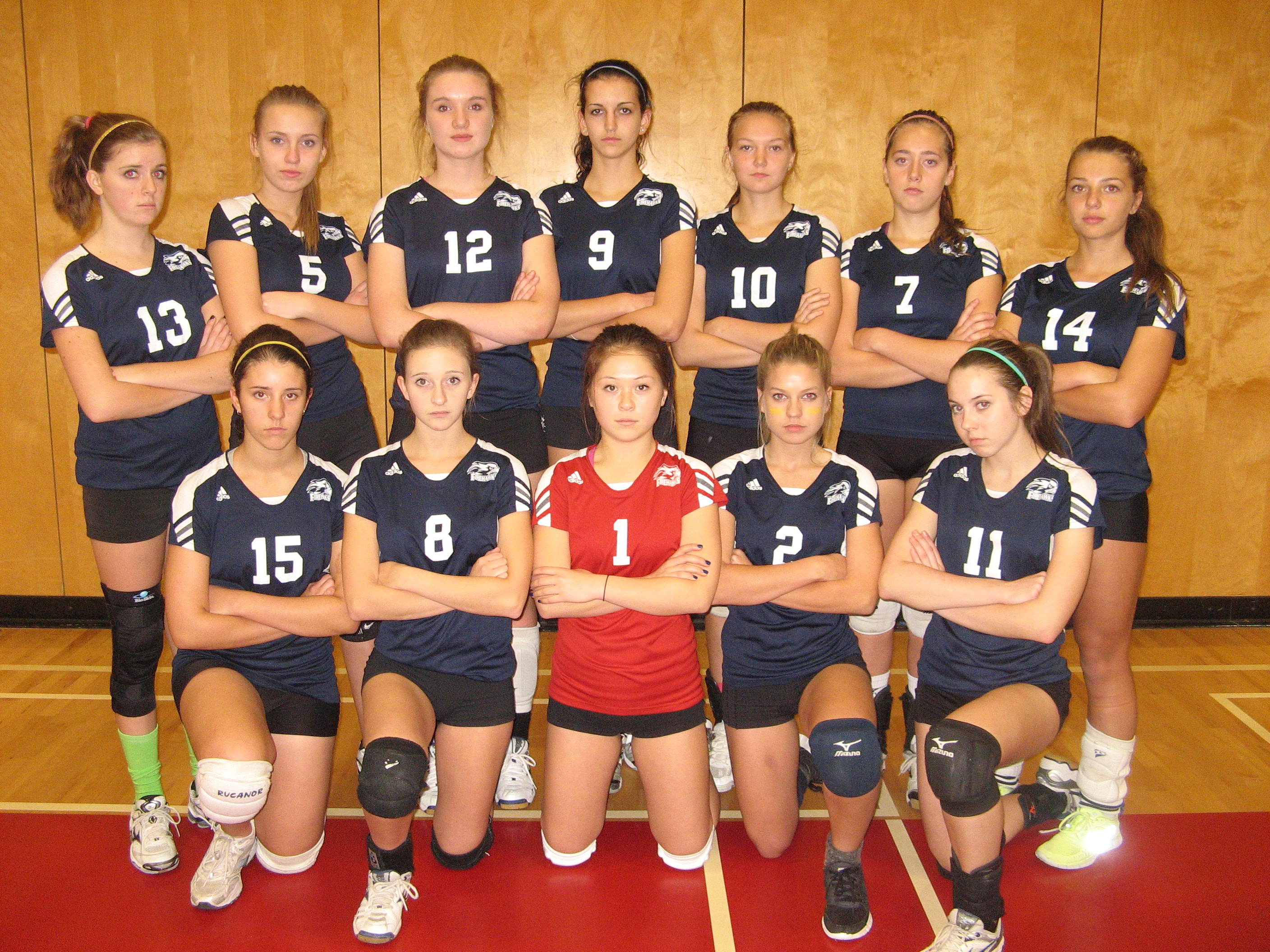 junior-girls-volleyball.f34df650410.png